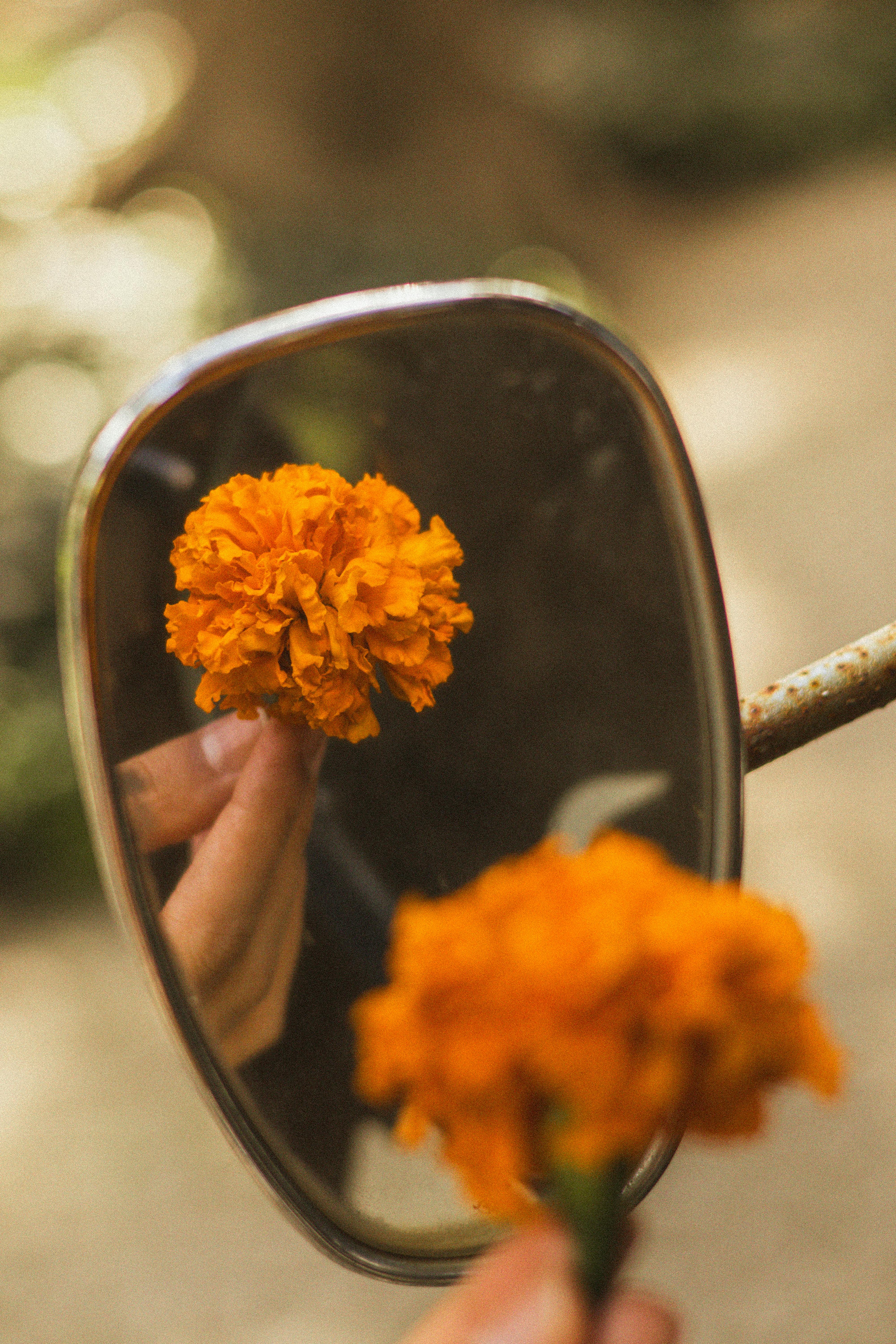 An orange marigold flower reflected in a motorcycle mirror outdoors.