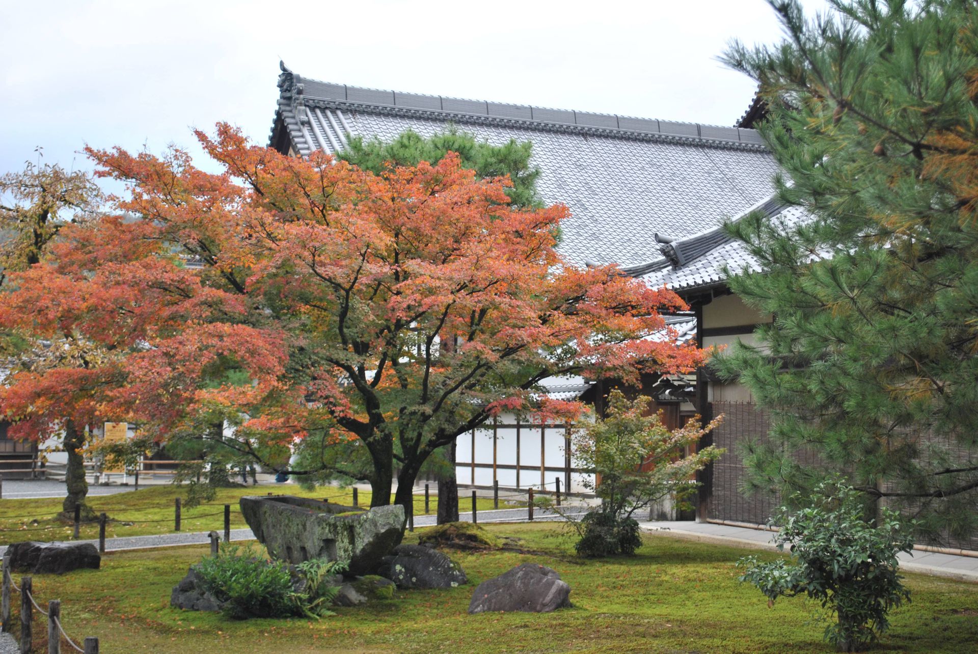 Beautiful Japanese garden scene with autumn foliage and traditional architecture.
