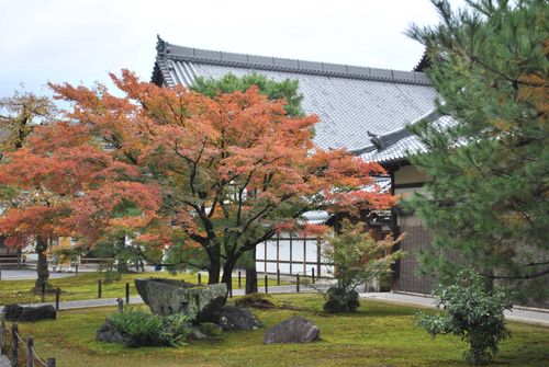 Free Beautiful Japanese garden scene with autumn foliage and traditional architecture. Stock Photo