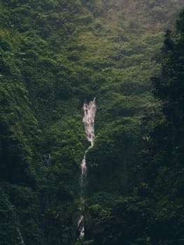 Explore the serene beauty of a hidden waterfall nestled in the lush jungles of Jawa Timur, Indonesia.