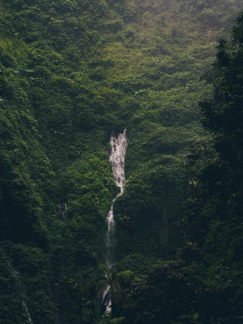 Explore the serene beauty of a hidden waterfall nestled in the lush jungles of Jawa Timur, Indonesia.