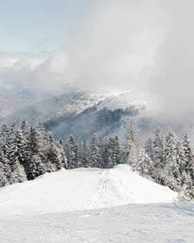 Breathtaking snowy landscape in Artvin, Türkiye with misty mountains and frosty trees.