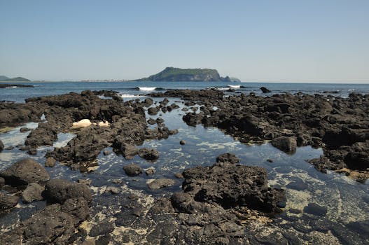 Scenic view of rugged black volcanic rocks along the coast of Jeju Island, South Korea.