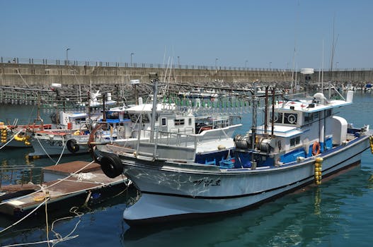 Fishing vessels docked at a harbor in South Korea under clear blue skies.