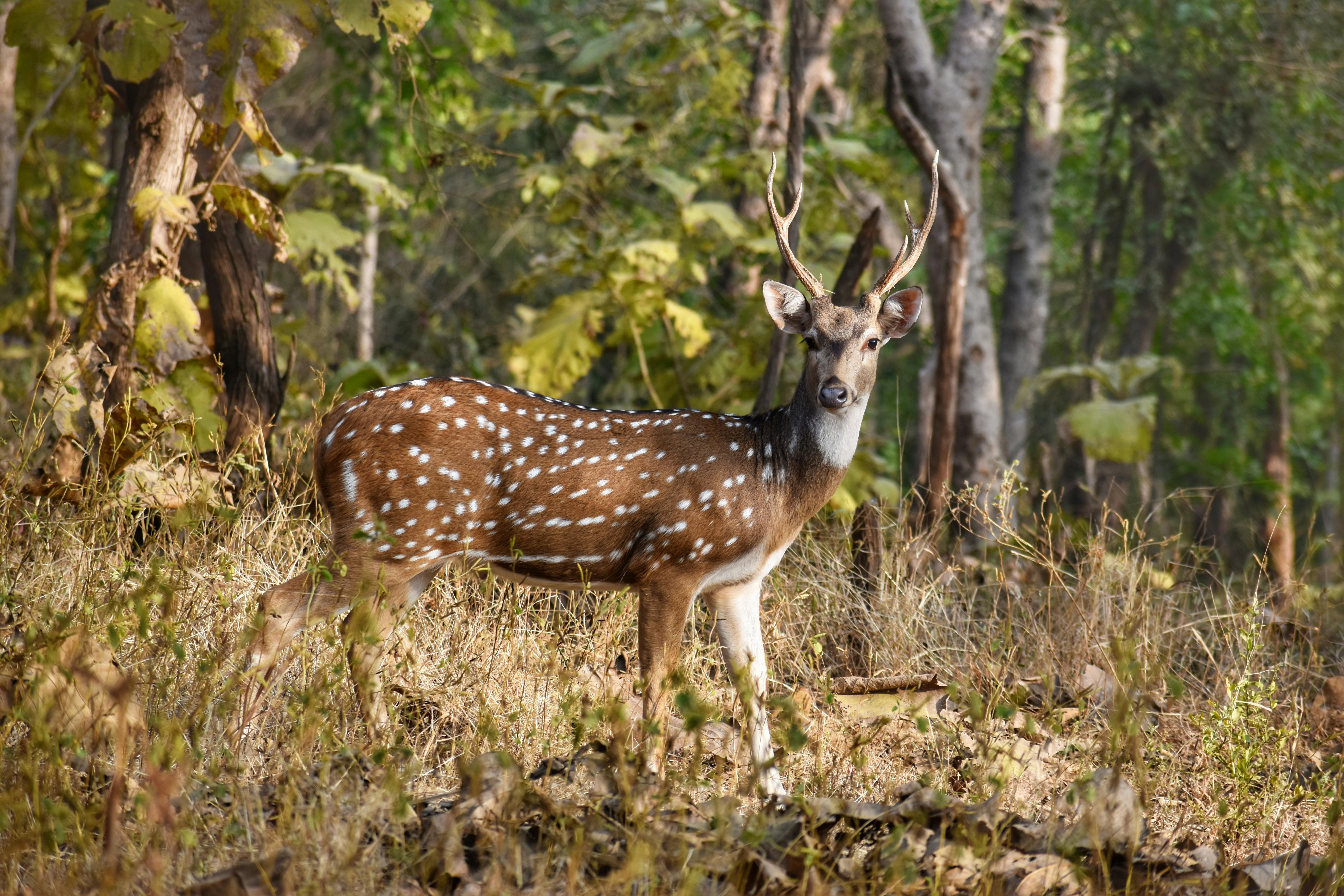 Alert Inc Photos, Download The BEST Free Alert Inc Stock Photos & HD Images