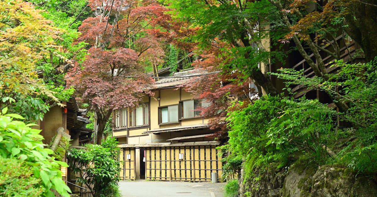 来感受一下日本的绝美风景吧!🏯✨ 来感受一下日本的绝美风景吧!🏯✨
