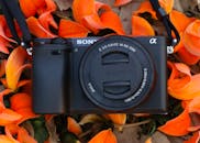 Compact Camera Resting Among Vibrant Palash Flowers