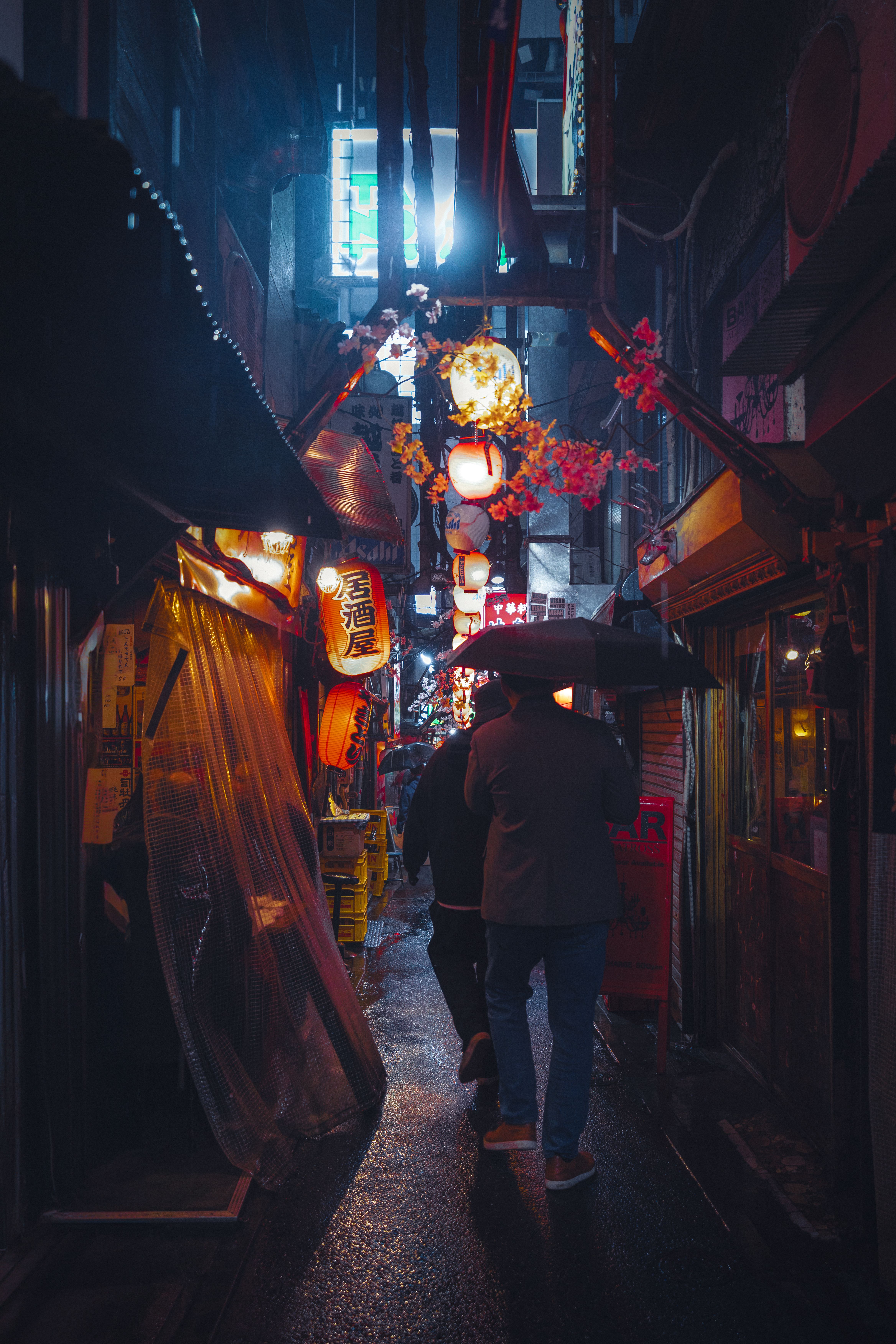 Rainy Night in Tokyo's Vibrant Alleyway · Free Stock Photo