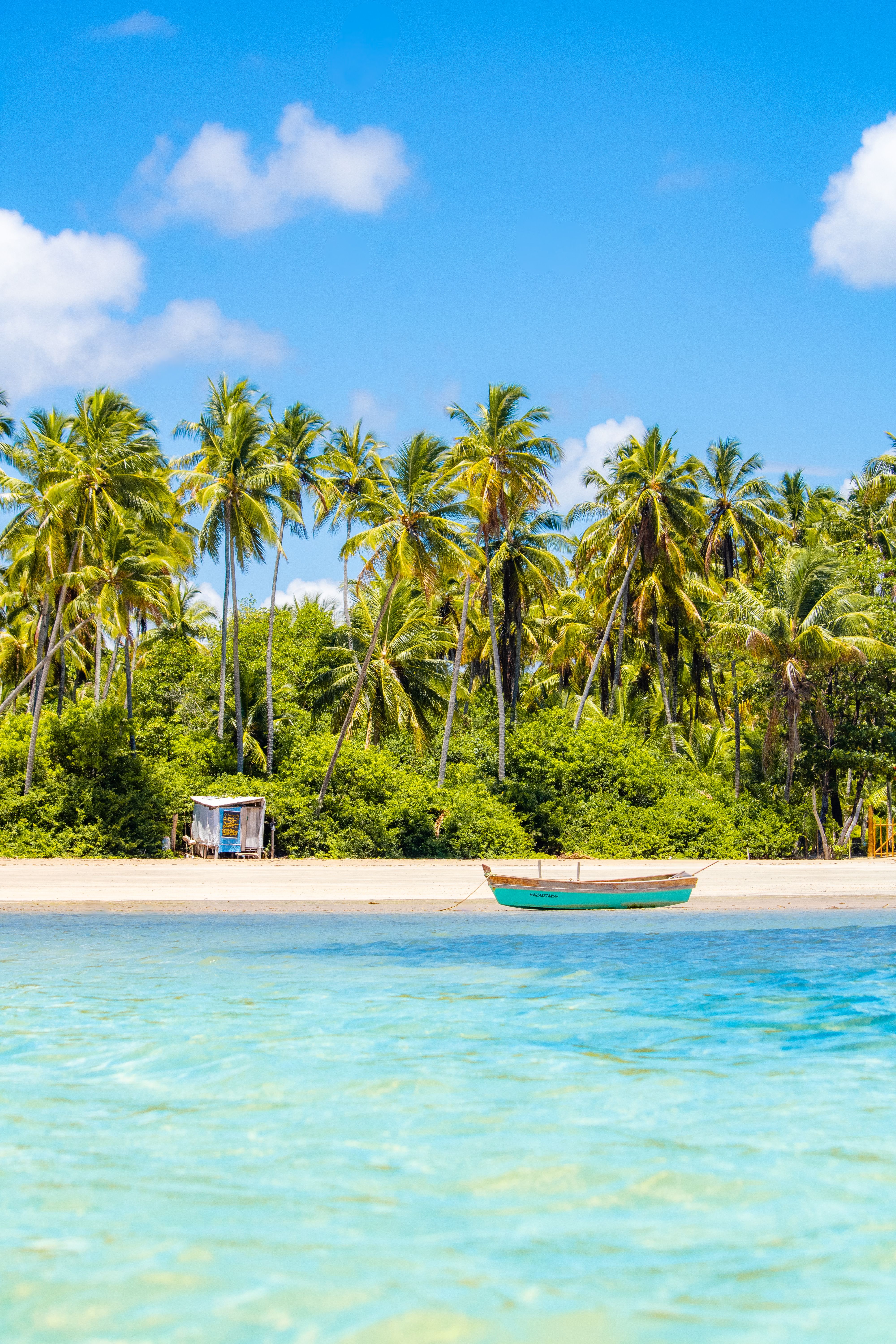 A tropical beach with palms and a moored boat