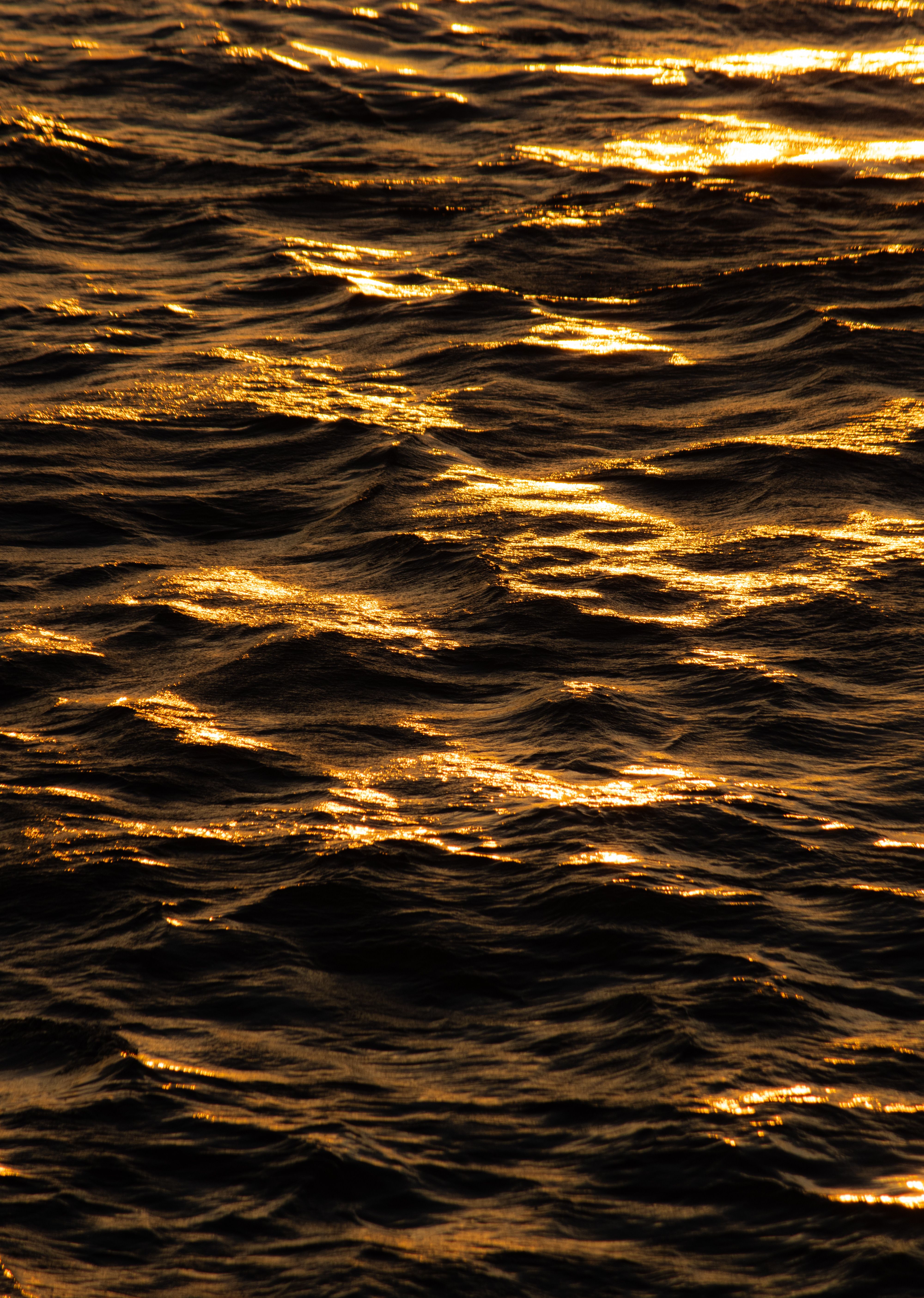 Golden Sunset Reflections on Ocean Waves · Free Stock Photo