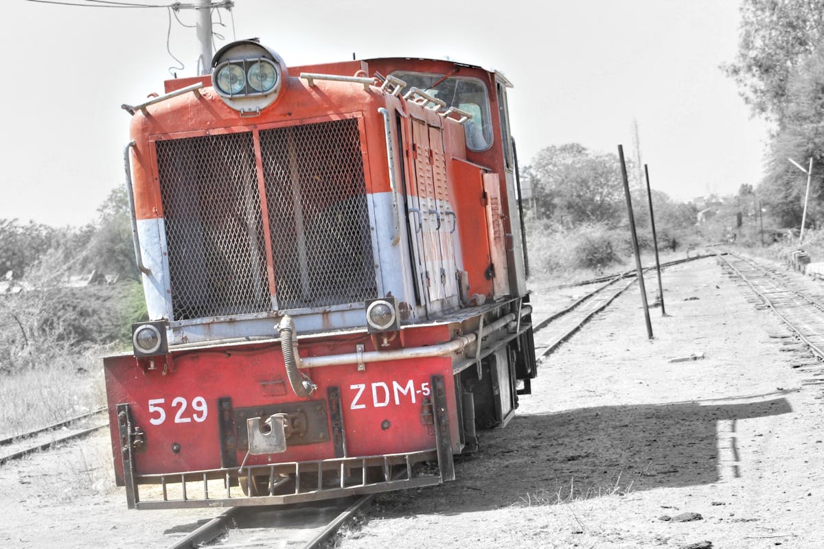 DIY : Comment métamorphoser vos guirlandes de sapin en décorations stylées pour le Nouvel An