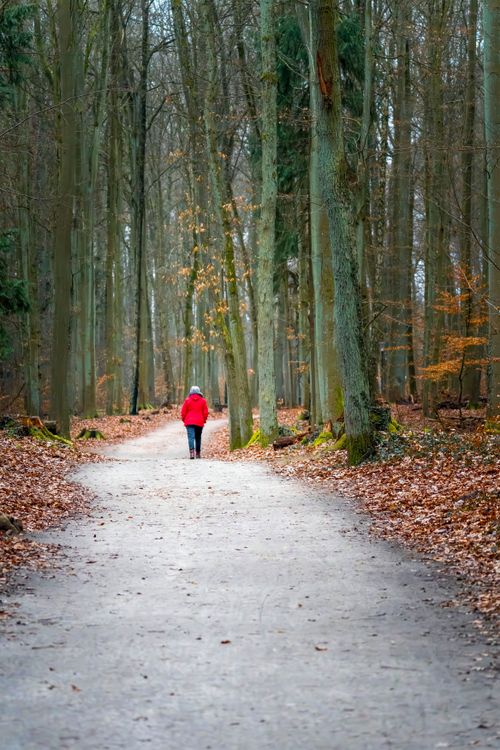 Free A lone woman walks along a tranquil forest path, embracing the serenity of nature. Stock Photo