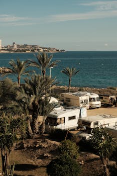 Campers parked by the sea with palm trees, offering a scenic coastal view.