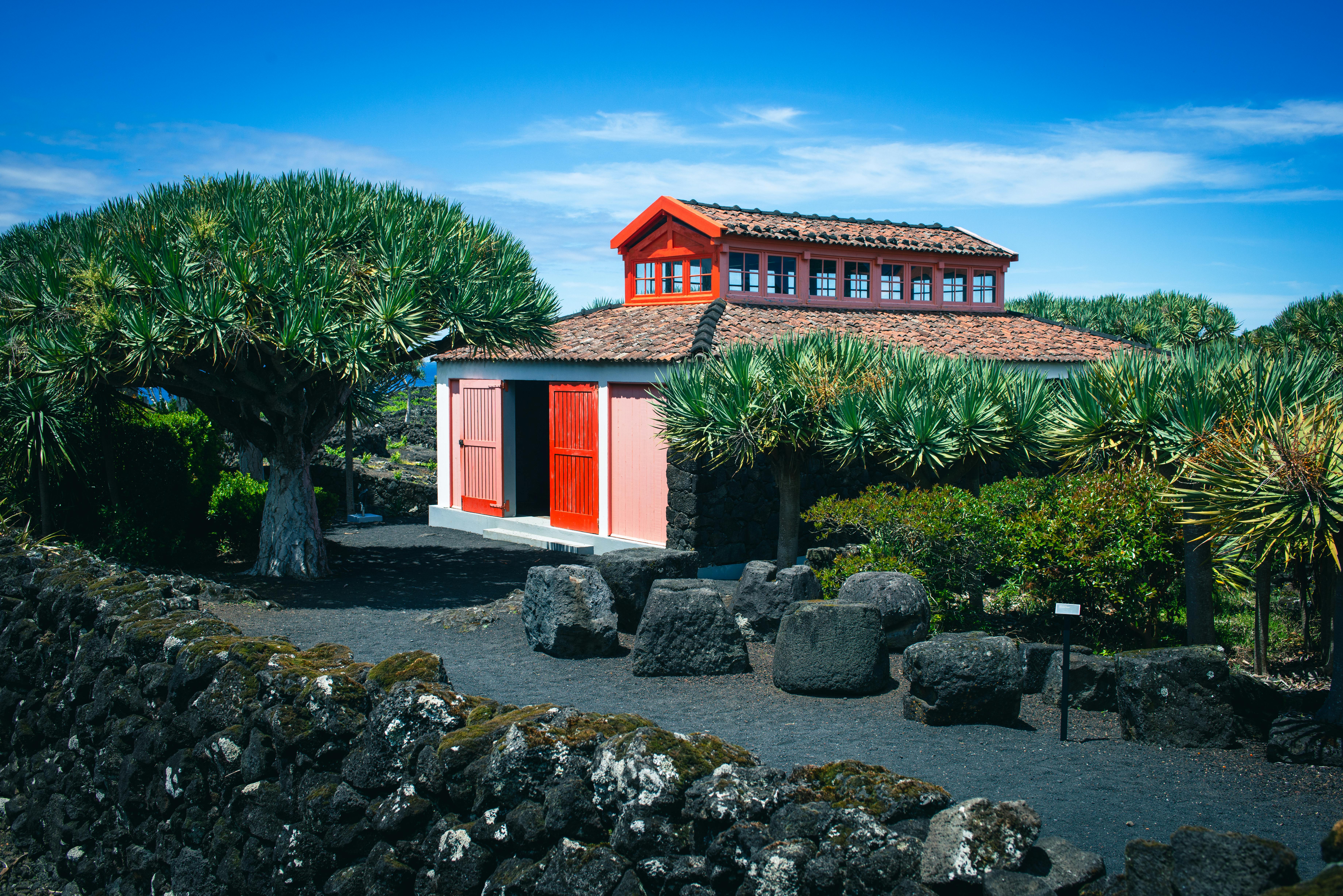 Scenic view of a traditional house with vibrant red accents amidst lush greenery in the Azores Islands.