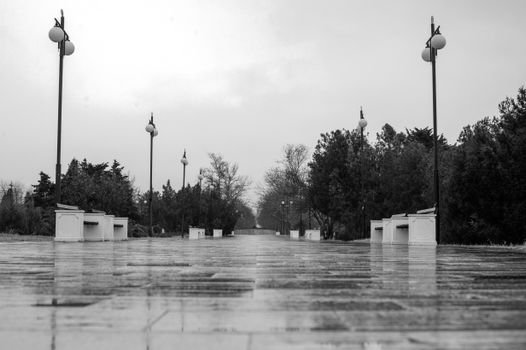 A deserted park path with street lamps and benches on a rainy day in monochrome.
