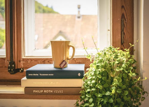 書和杯子旁邊的綠葉植物
