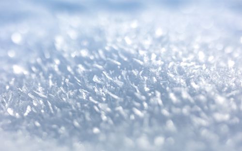 Free Detailed macro shot showcasing the intricate patterns of snowflakes on a winter day in Italy. Stock Photo