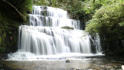 Fotos de stock gratuitas de cascadas, cataratas purukaunui, catlins
