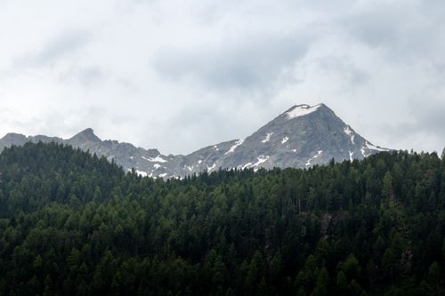 Free Scenic view of a snow-capped mountain and lush forest in Sölden, Austria. Stock Photo