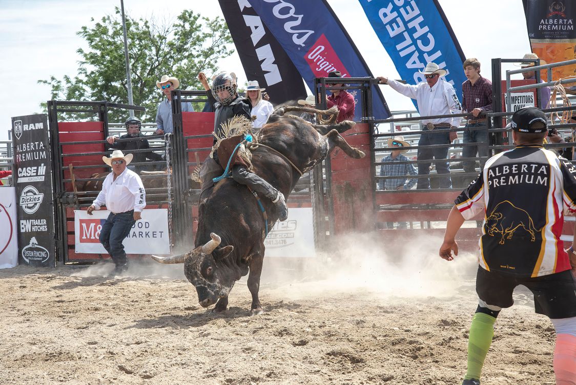 Dynamic Rodeo Bull Riding Event Captured Live · Free Stock Photo