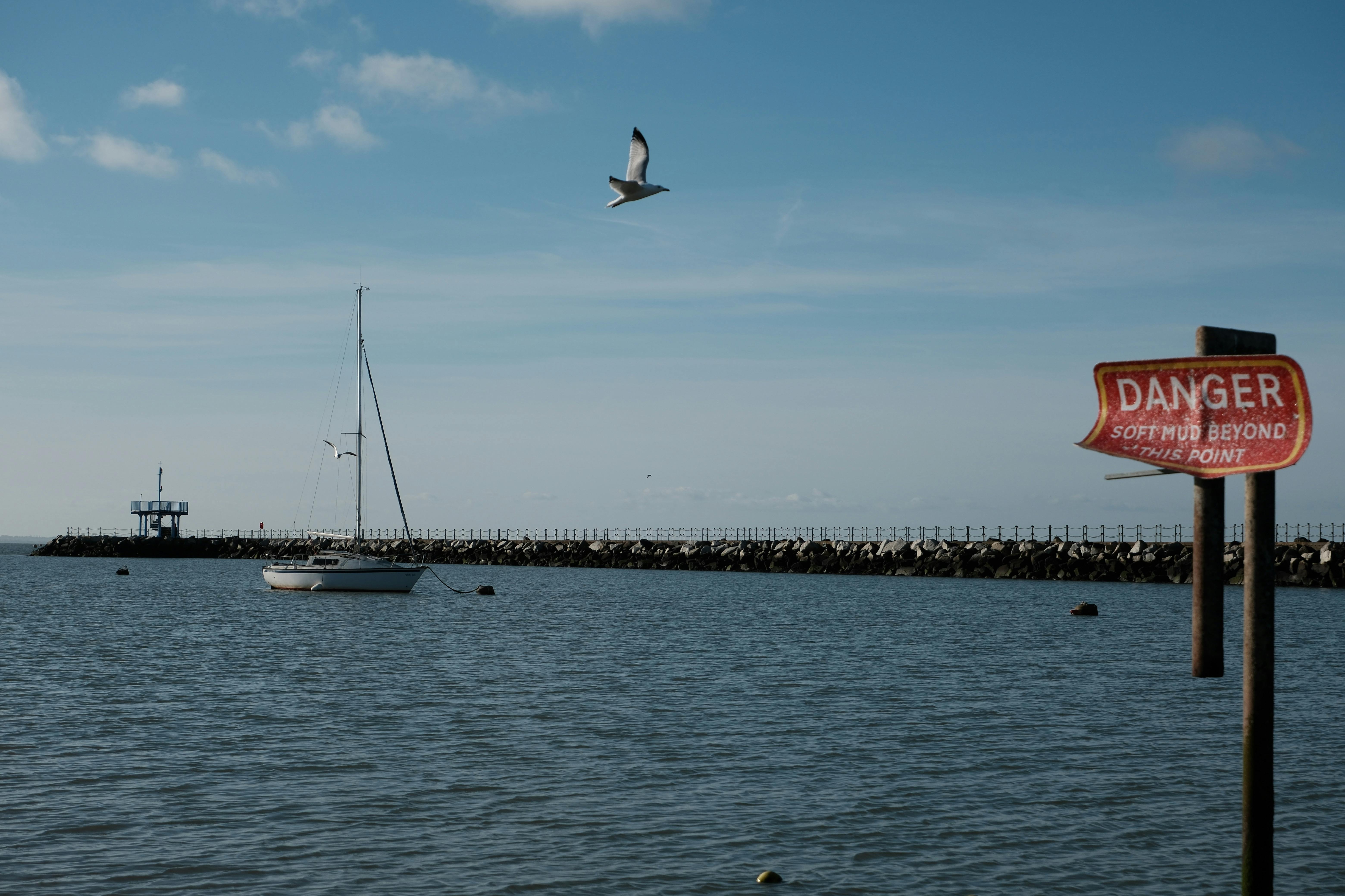 Sailboat anchored in Herne Bay with a warning sign and seagull in view.