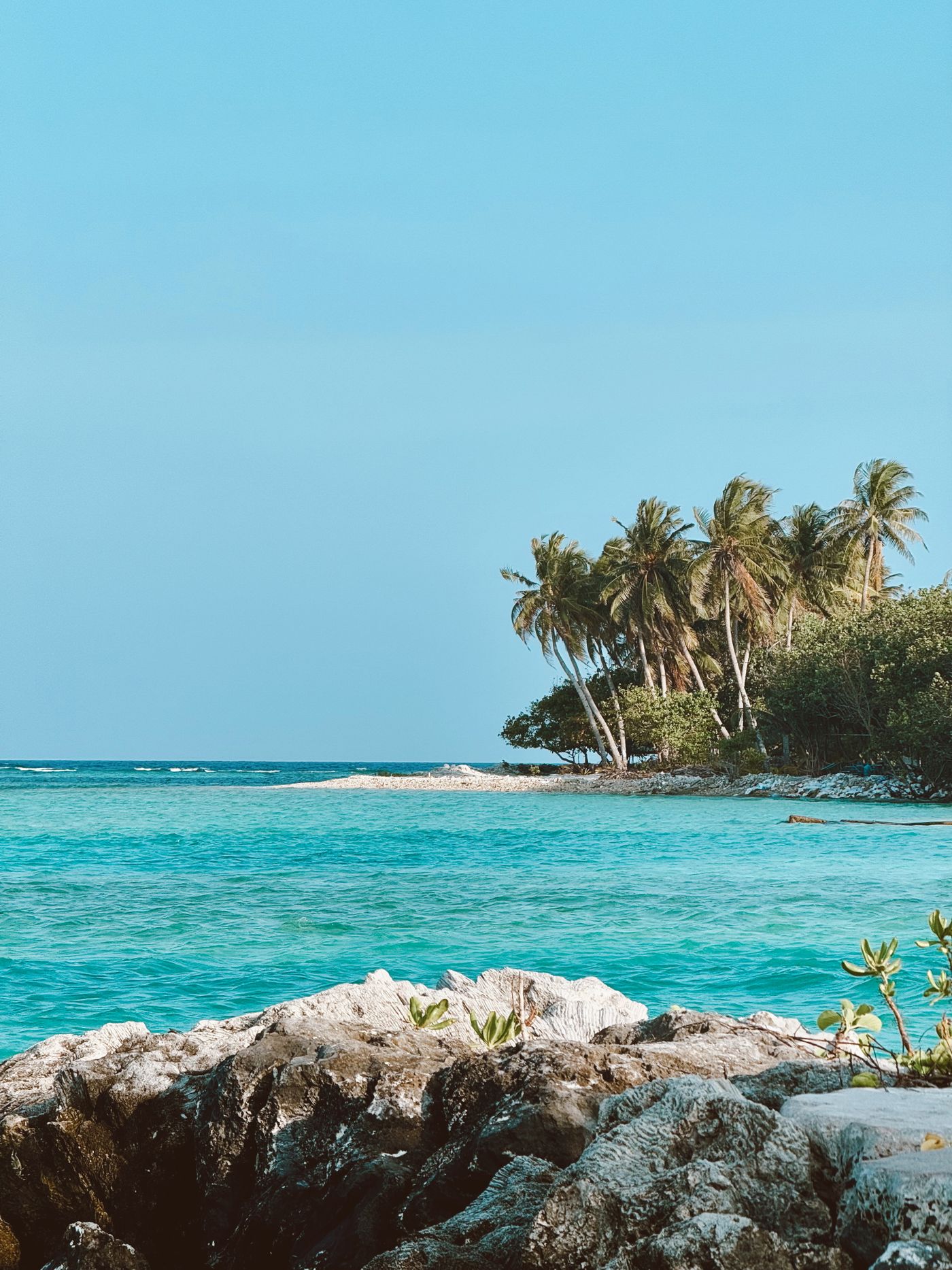 A tranquil tropical beach in the Maldives with palm trees and clear water