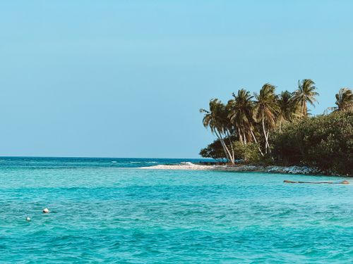 Free Stunning tropical beach view with palm trees and turquoise waters in the Maldives. Stock Photo
