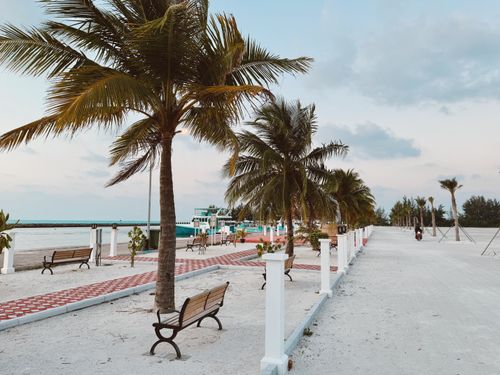 Free Tranquil beach promenade with palm trees and benches in the Maldives at sunset, offering a relaxing atmosphere. Stock Photo