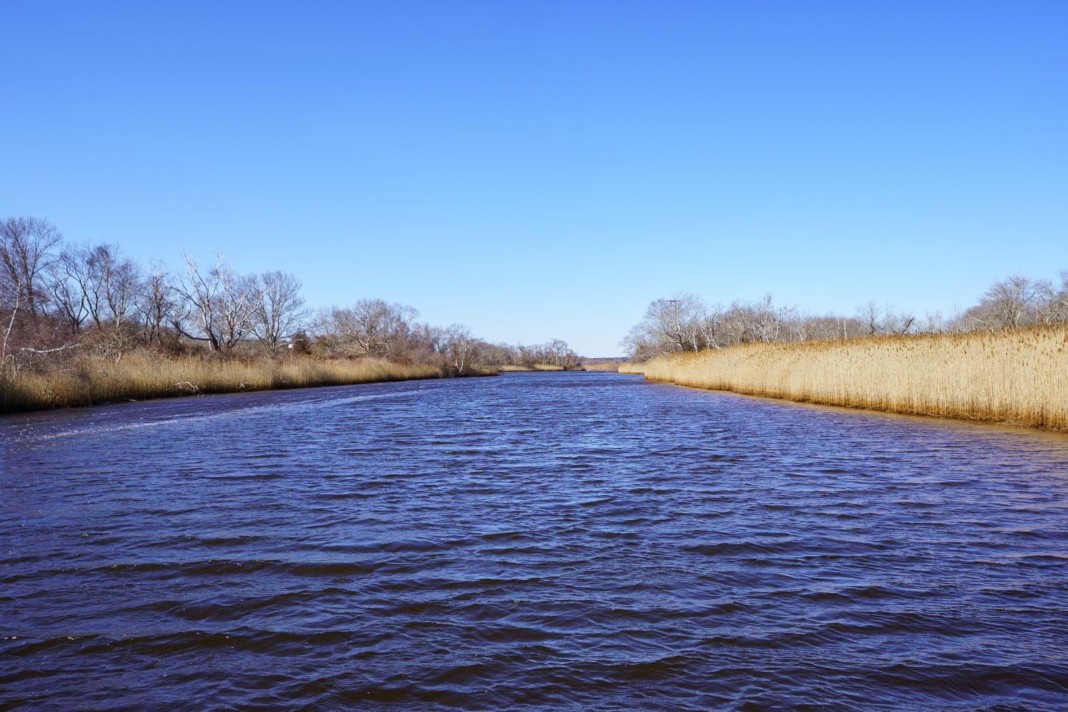 Big River Photos, Download The BEST Free Big River Stock Photos & HD Images