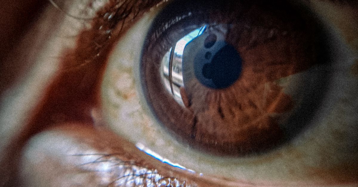 Person In Eye Reflection Close-up of a Human Eye Reflecting Light · Free Stock Photo
