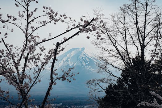Stunning view of Mount Fuji framed by cherry blossoms during spring in Fujinomiya, Japan.