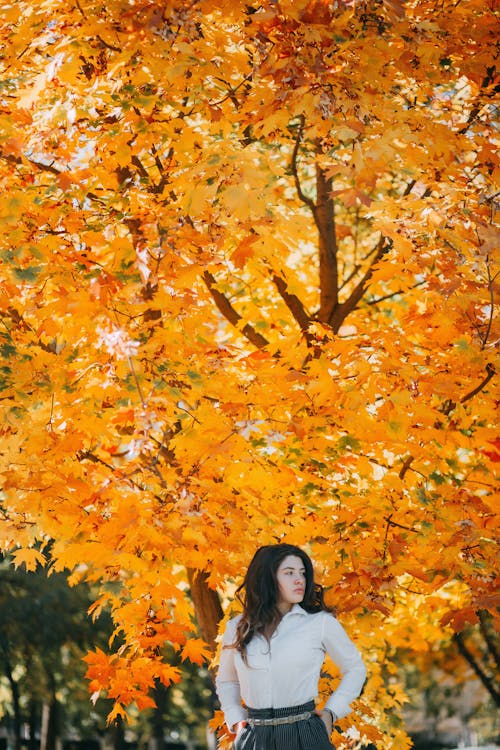 Photo of Woman Standing Near Tree