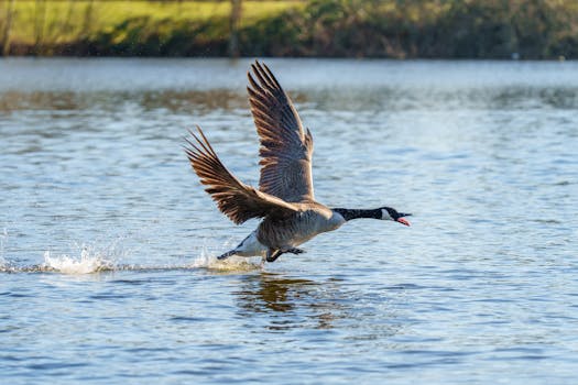 Tutorial Mengupdate Driver GPU untuk Pemula dan Pro - Featured Image