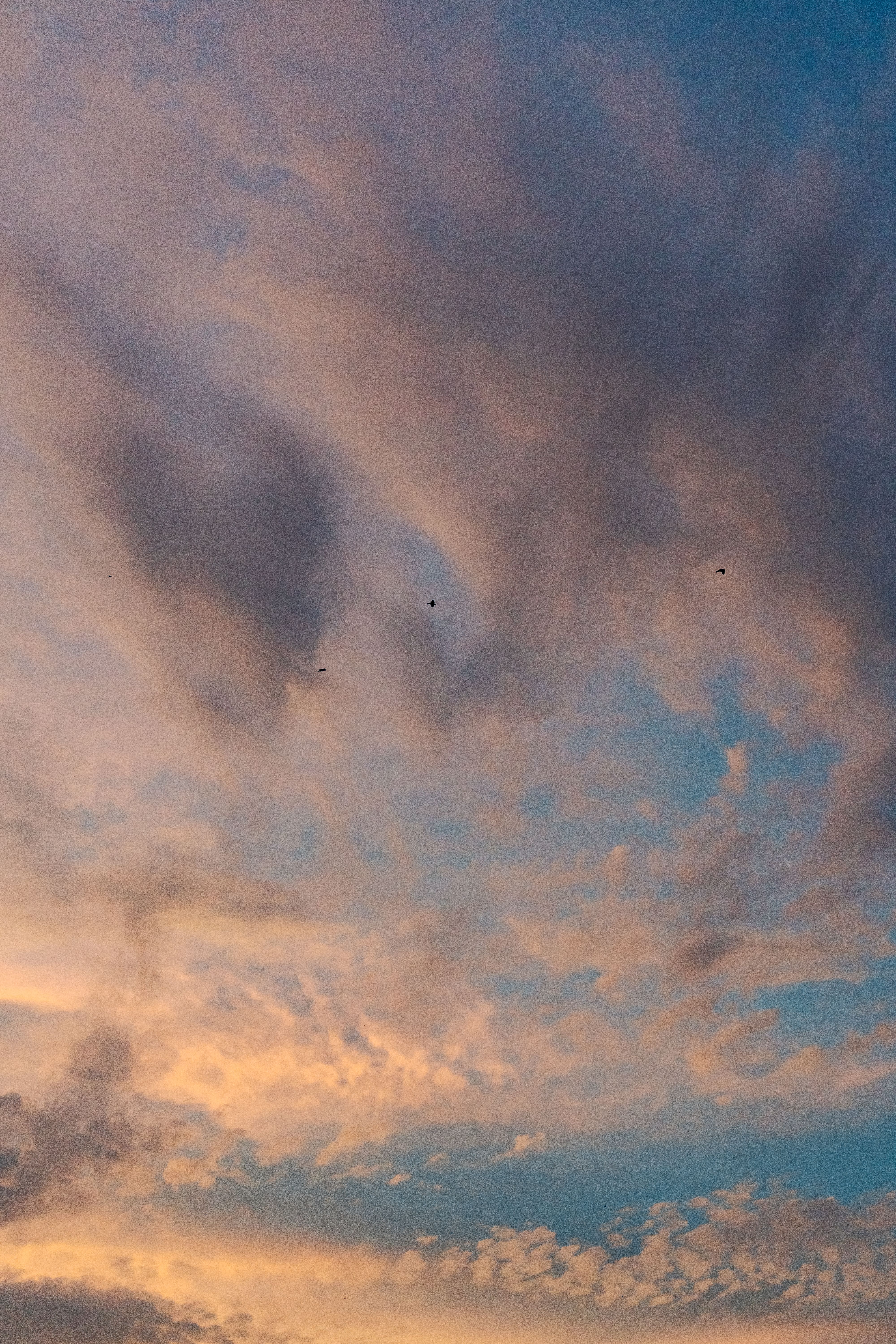 Fotomural Fotolia