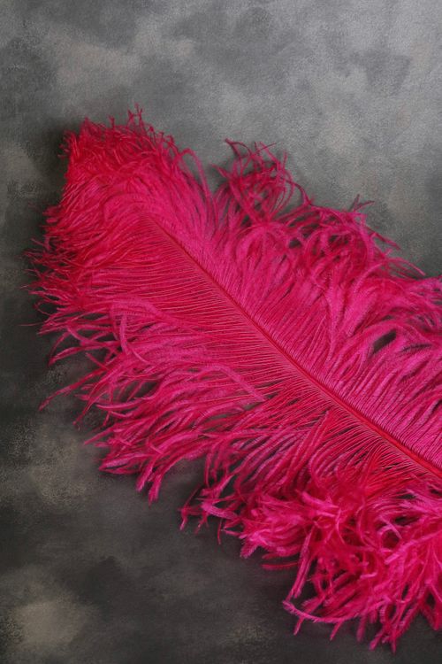 Free A vibrant pink feather lying on a textured dark background, showcasing its intricate details. Stock Photo