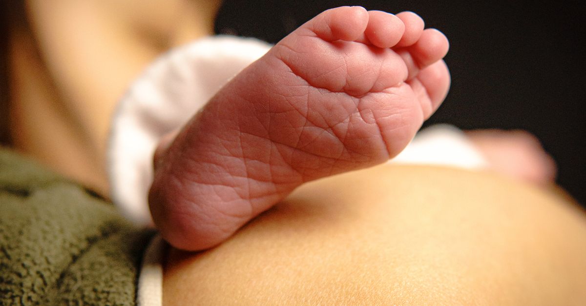 Surrogate Birth Sparks Legal Battle Over Custody in Texas