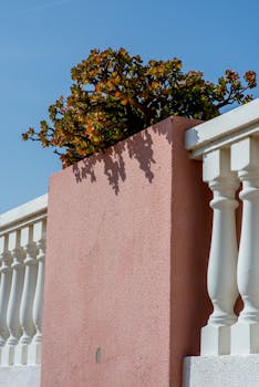 Artistic view of a pink wall with vibrant plant and blue sky, modern style.
