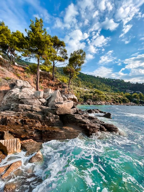 Free Waves crashing against a rocky coast lined with pine trees under a clear sky. Stock Photo