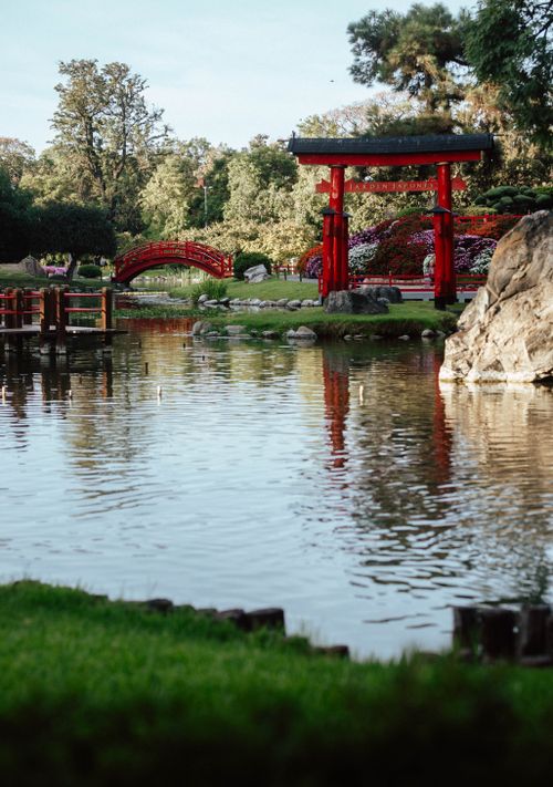 Free Peaceful Japanese garden with iconic red torii gate and bridge in Buenos Aires. Stock Photo