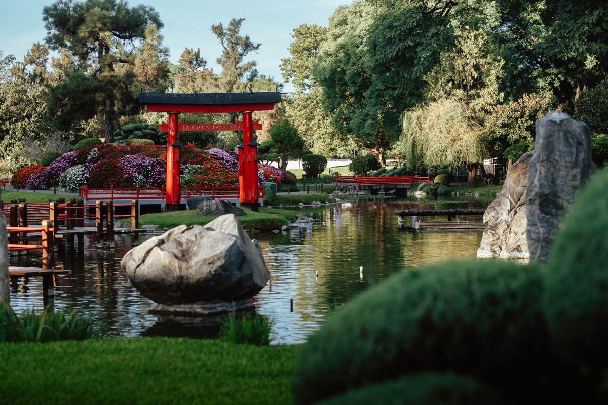 Peaceful Japanese garden with stone path and carefully landscaped traditional plants