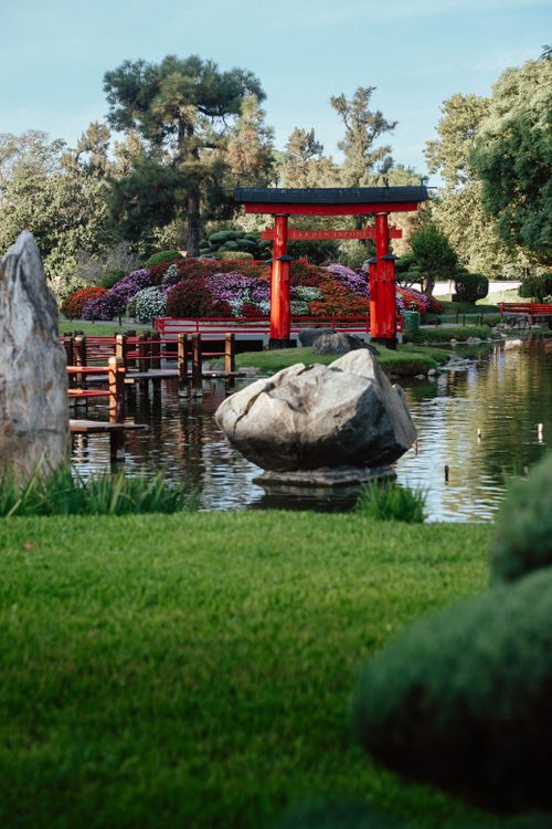 Free Japanese-style garden with red torii gate and pond in Buenos Aires. Stock Photo