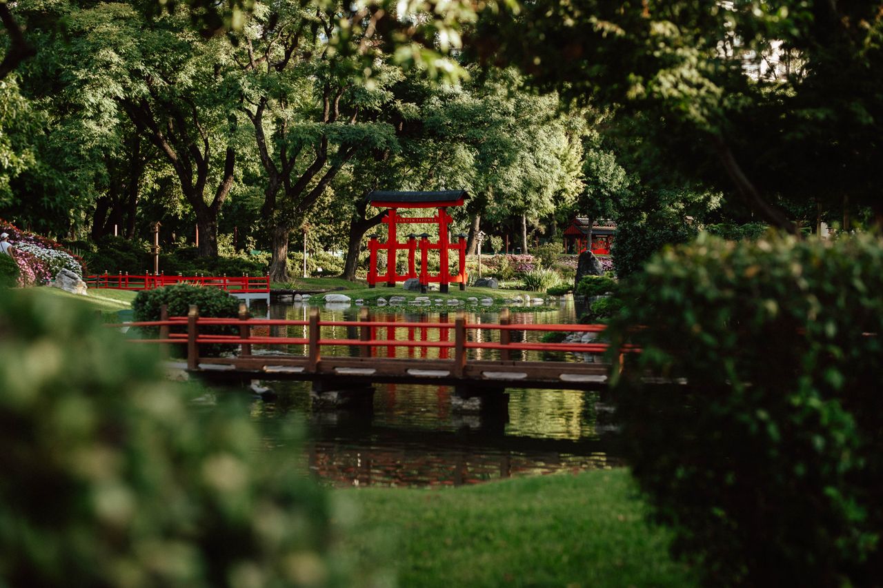 beautiful japanese style garden in buenos aires featuring a red torii
