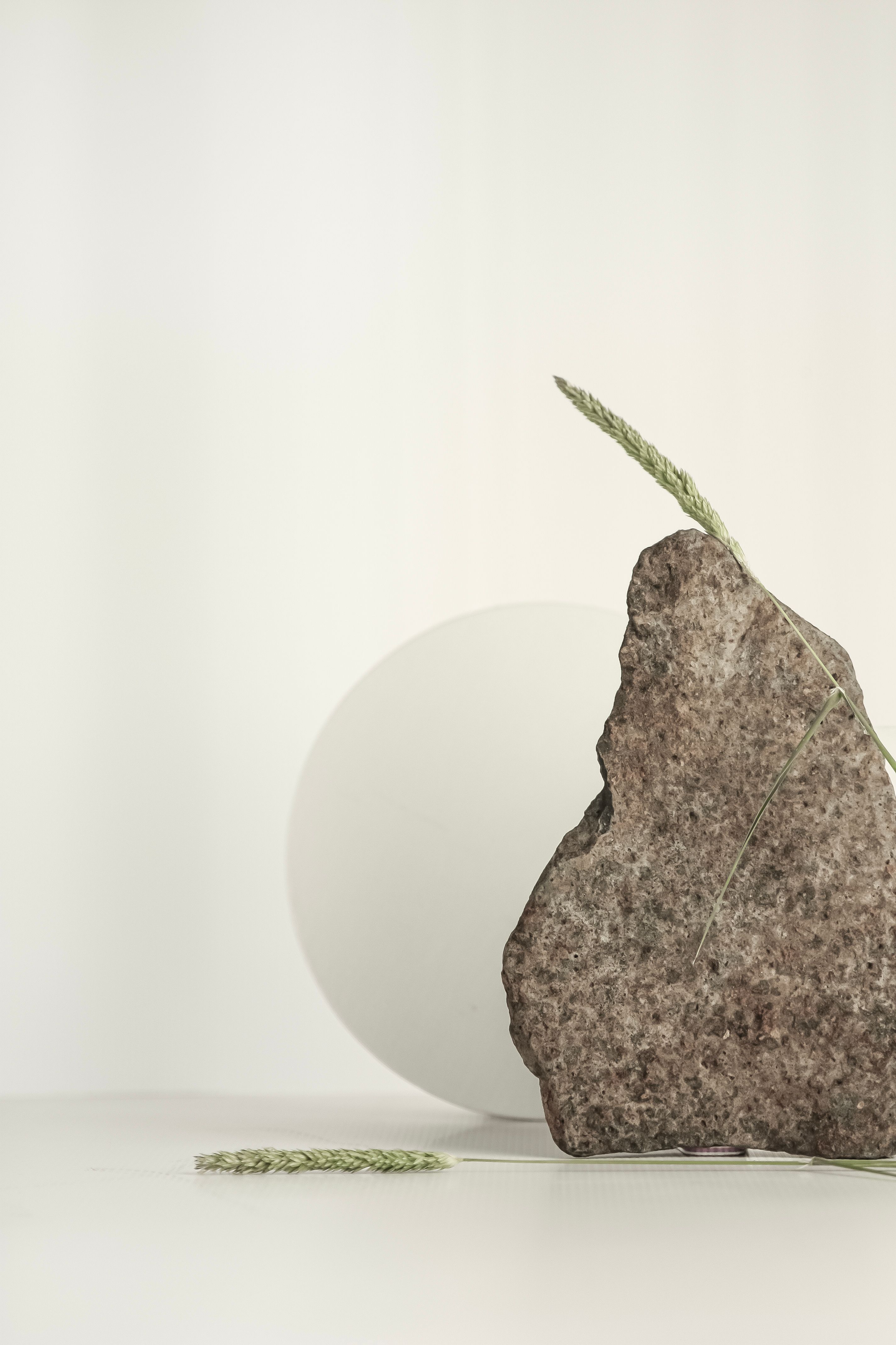 Artistic minimalist composition featuring a stone and grass on a neutral background.