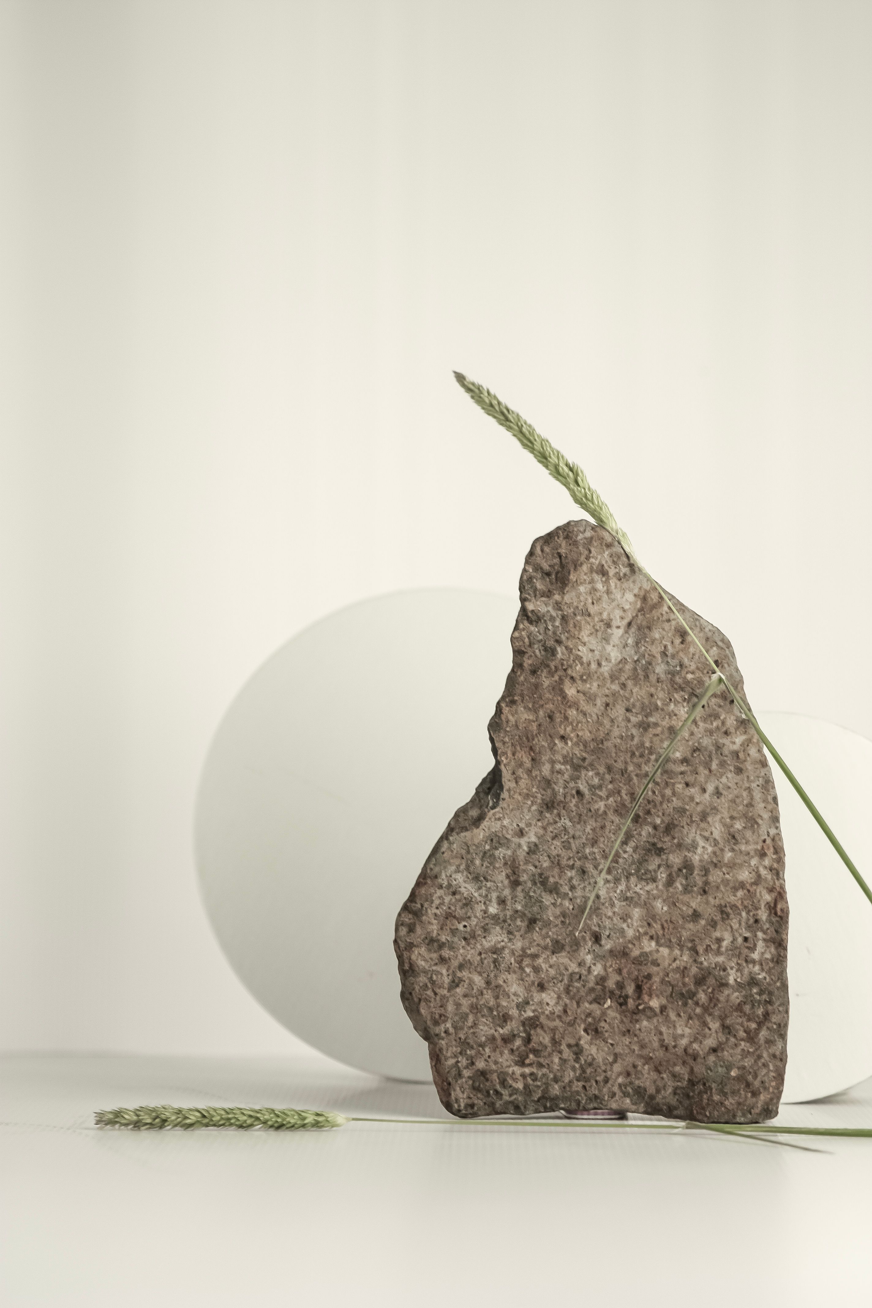 A minimalist composition featuring a stone and grass blades on a neutral background, evoking simplicity and peace.