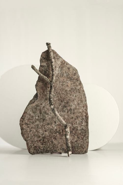 Free Abstract minimalist photo of a rock and branch, showcasing natural textures and organic forms. Stock Photo