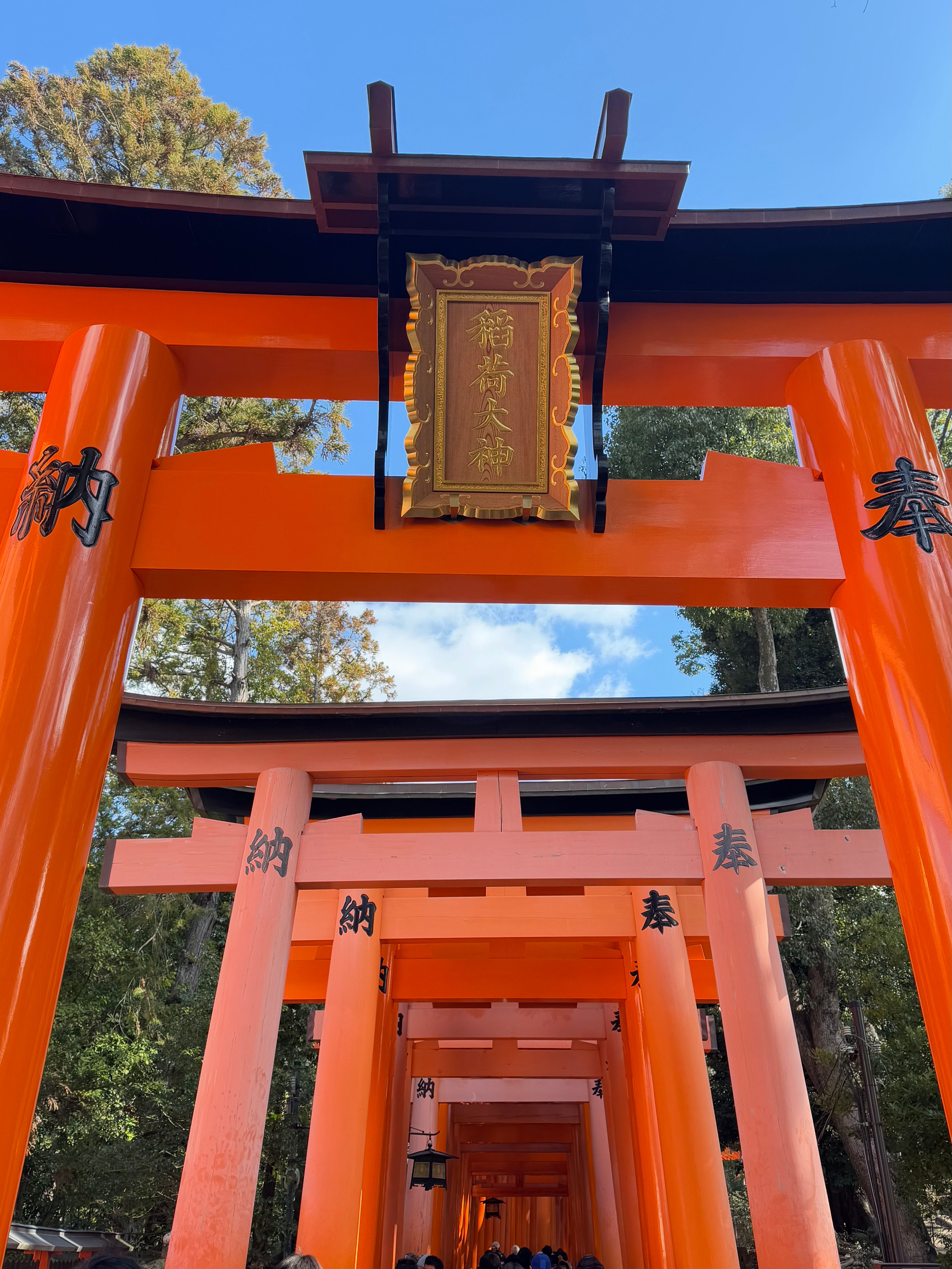 Stunning View of Fushimi Inari Taisha Torii Gates · Free Stock Photo
