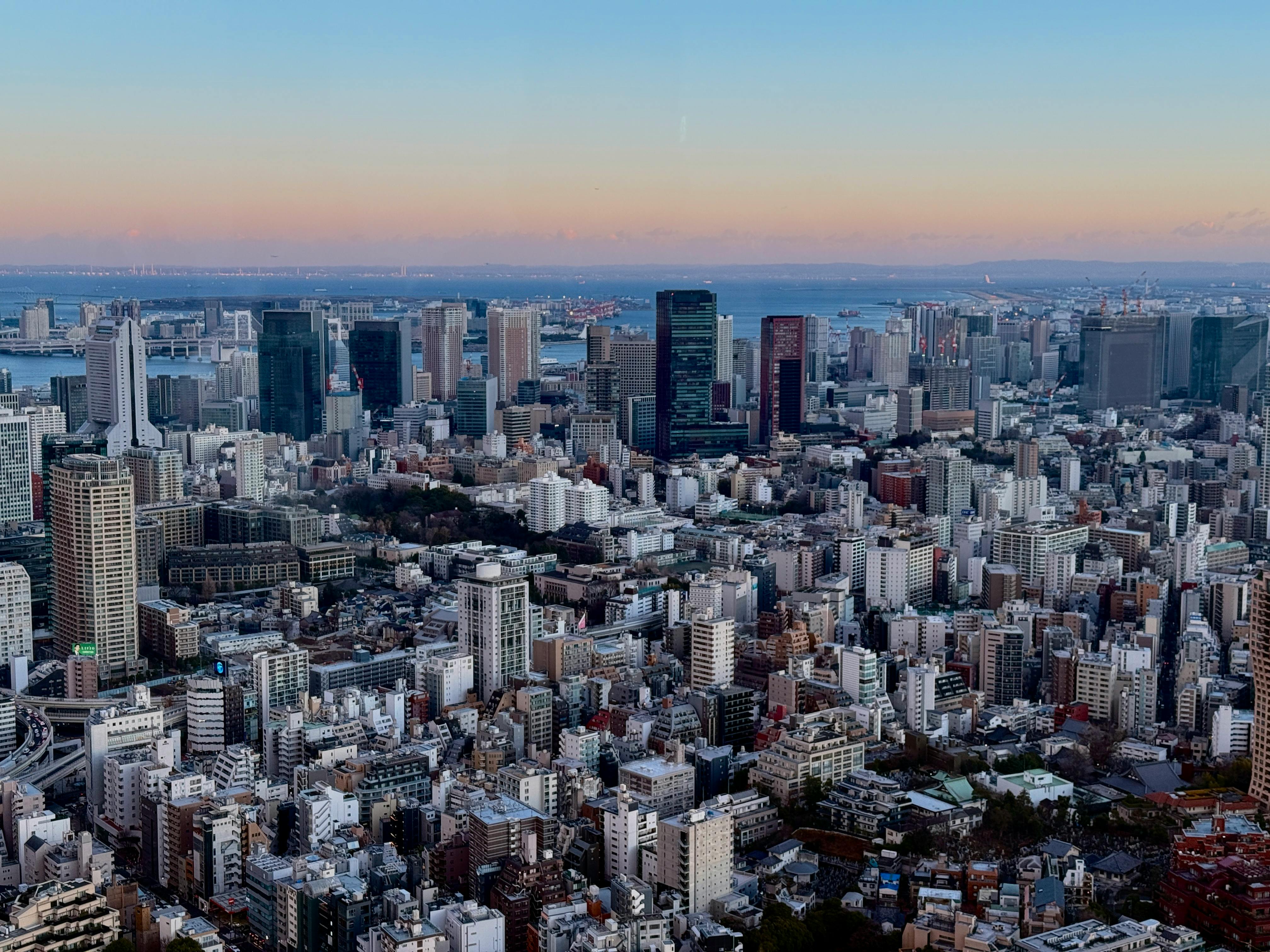 Tokyo Skyline