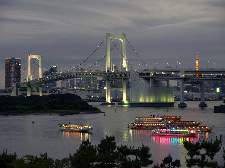 도쿄만 레인보우브릿지와 오다이바 여름 야경 전경