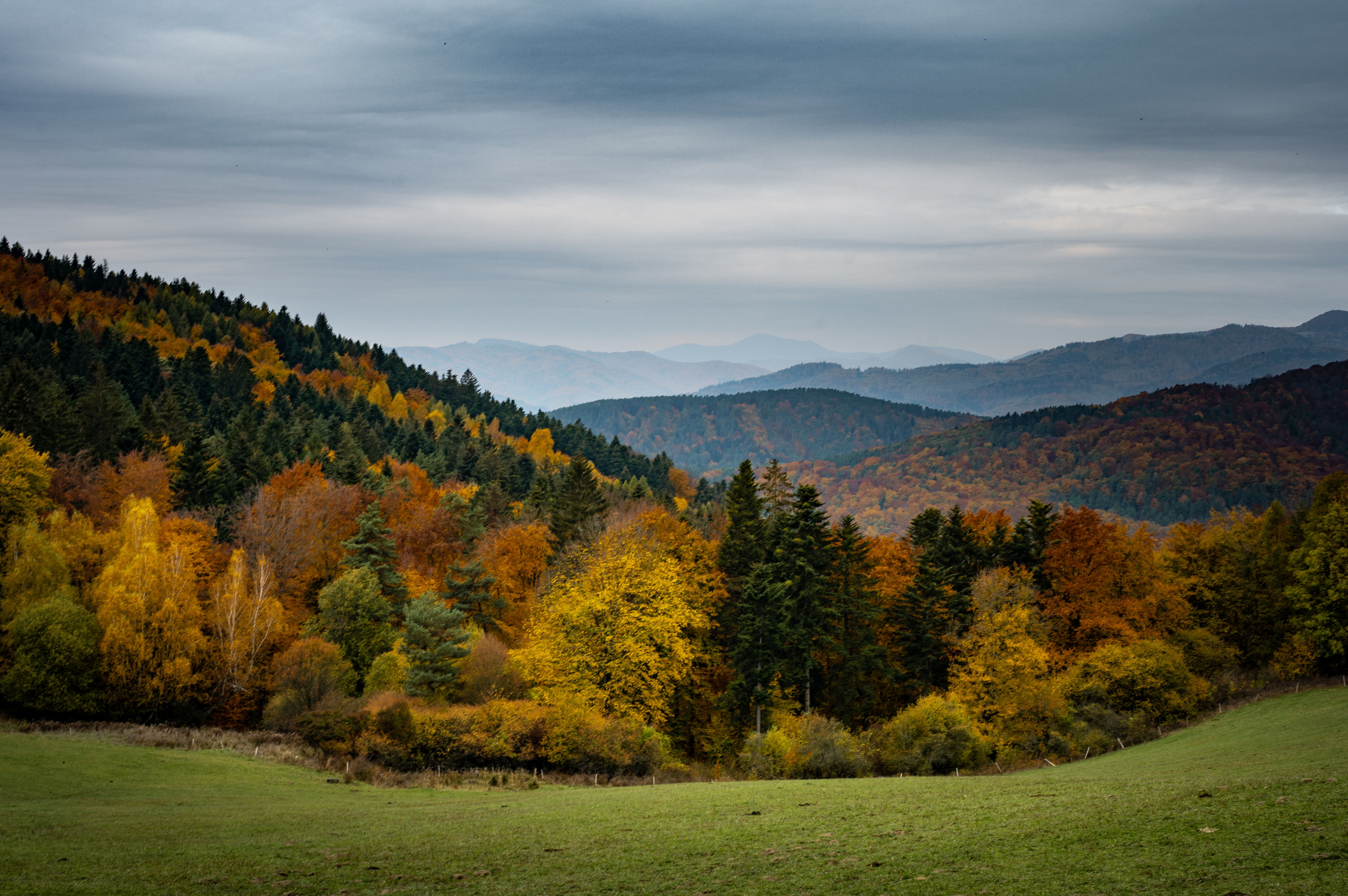 Serene Autumn Landscape with Vibrant Foliage · Free Stock Photo