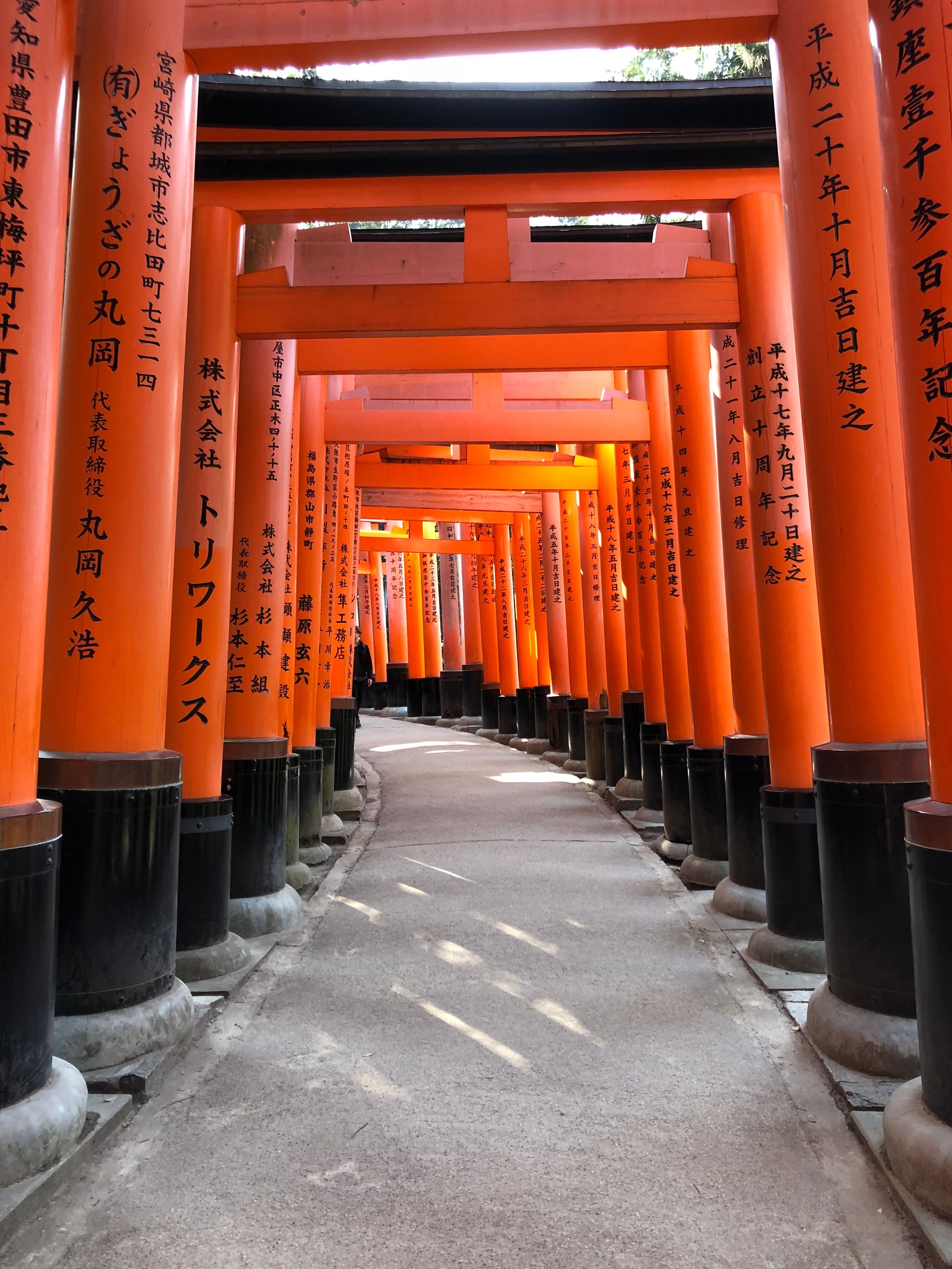 Iconic Fushimi Inari Taisha Red Torii Gates Pathway · Free Stock Photo